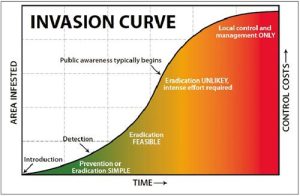 A graph that shows how as time increases, infestation increases.
