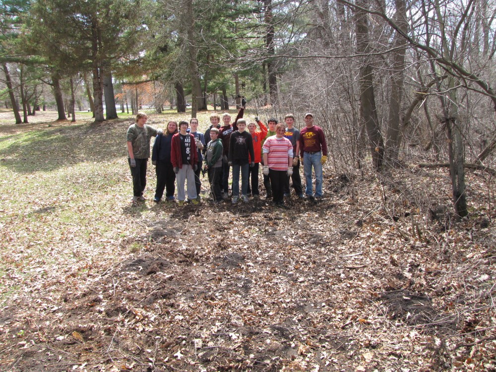 Area cleared of buckthorn!