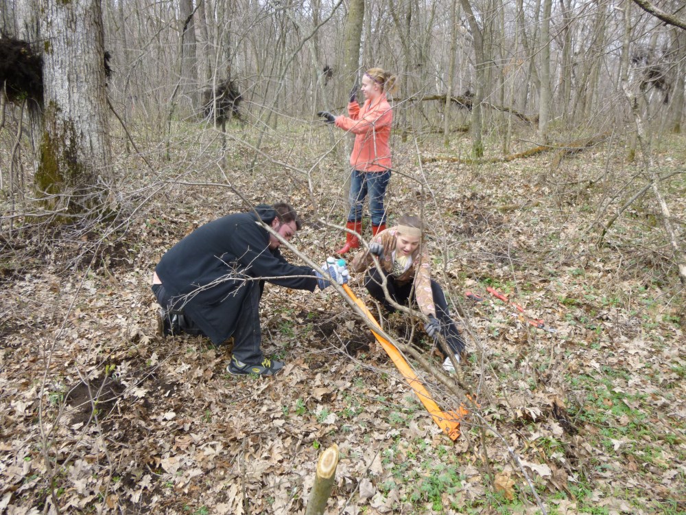 Weed Wrench in action