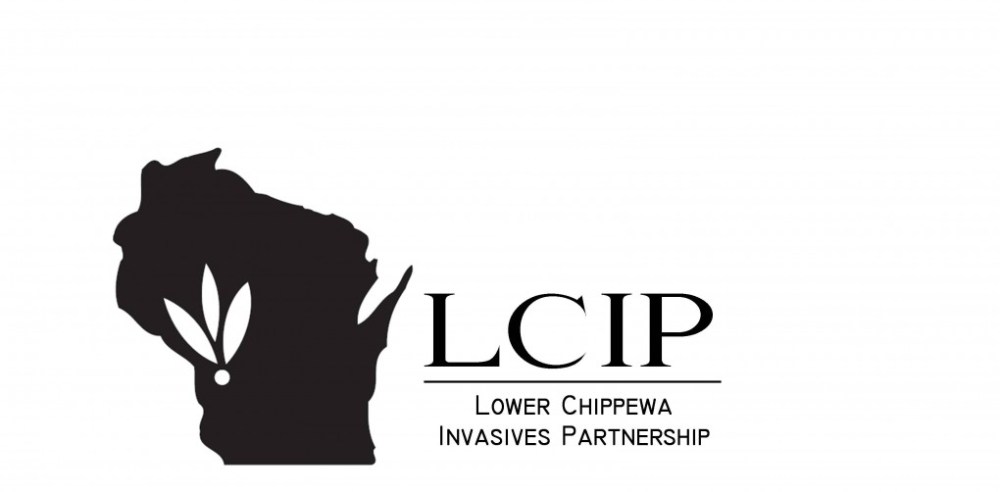 cropped-lcip-logo.jpg