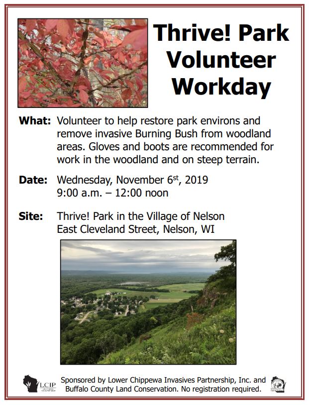 Thrive Park Work Event 11-6-19